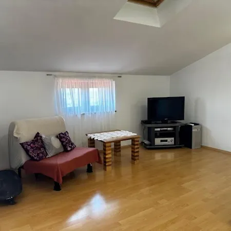 Apartment Branko