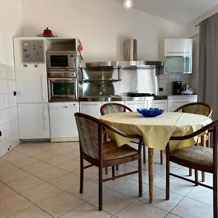 Apartment Branko