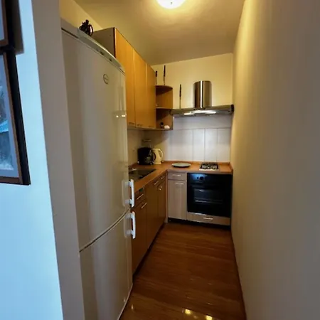 Apartment Branko *