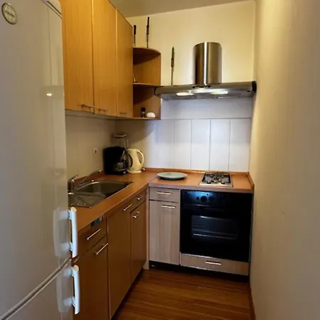 Apartment Branko